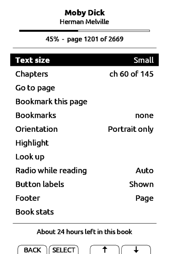 The reader menu with Highlight, Look up, Radio while reading and Footer